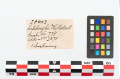 Etikett zu Bernsteinringperle (NHMW-PRAE-026003)